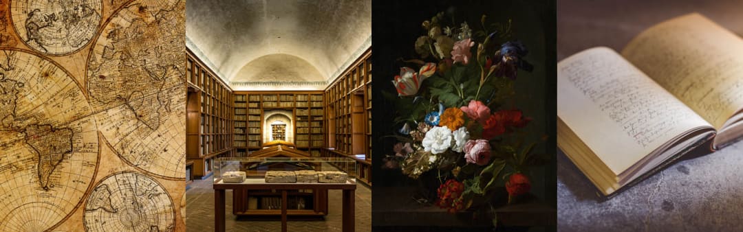 Kaisertown neighborhood in Buffalo, New York (NY), 14206 detailed profile visual data 5