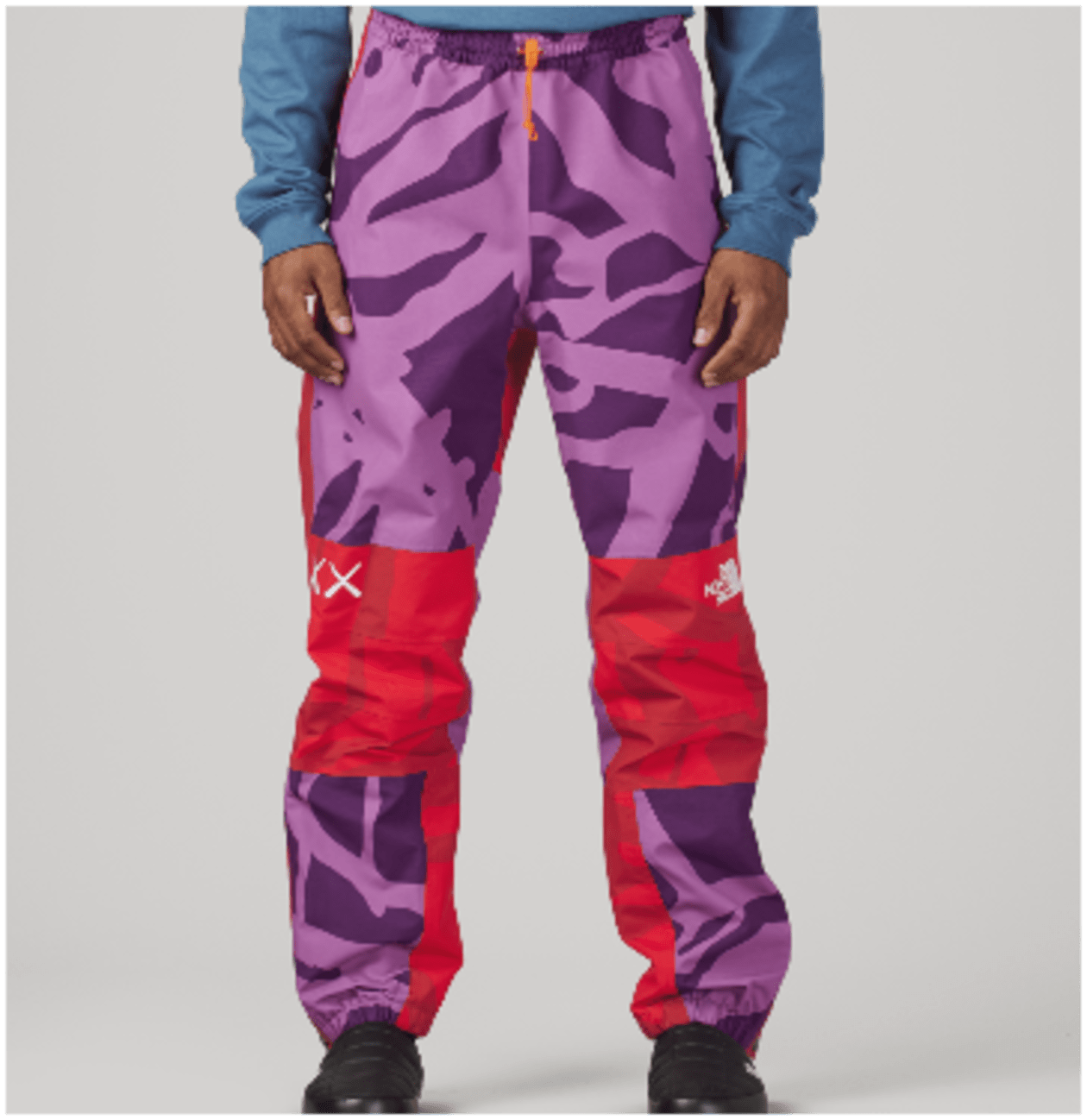 Kaws The North Face Mountain Light ふるい Pant