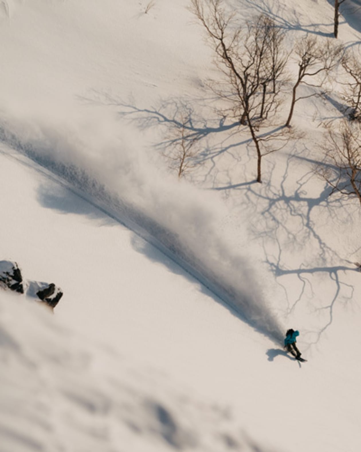 Do I Need A Powder Snowboard?