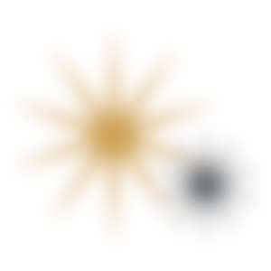 Yellow_Burst_LG