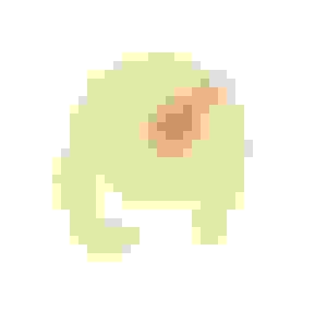 brain