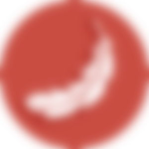 Icon_LIGHTWEIGHT