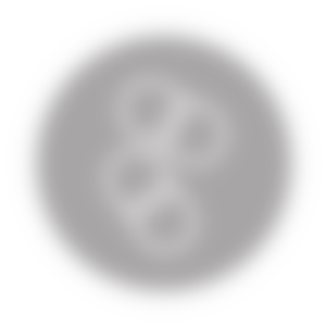 LAC-Activated-Zhi_Icon-14