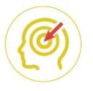 brain