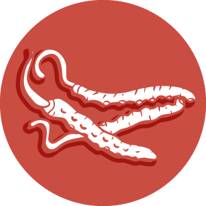 Icon_Cordyceps