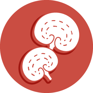 Icon_Lingzhi