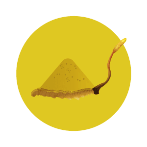 LAC-Activated-Zhi_Icon-23