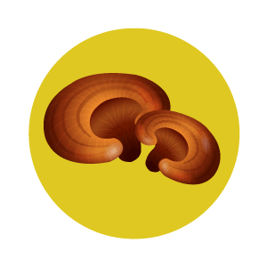 LAC-Activated-Zhi_Icon-21
