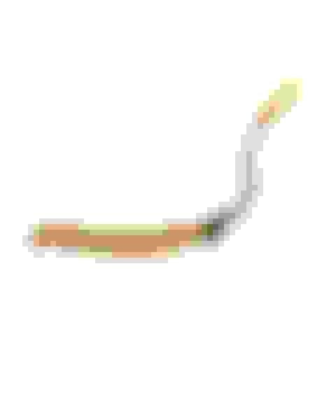 cord1