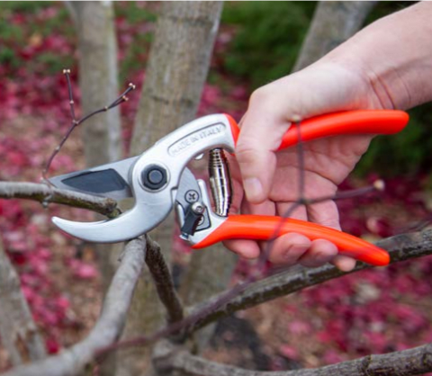 Castellari Pruning Tools Gardener s Supply