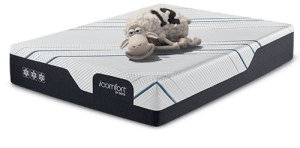 ico-brand-mattress-sheep-2019