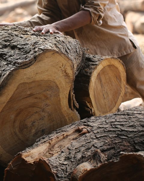 Aacacia_hout_1080x1600px
