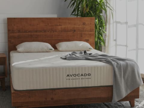 avcado-2